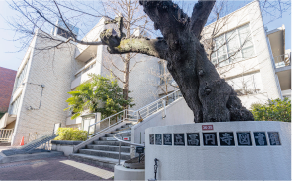高円寺図書館／徒歩7分（約490m）